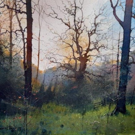 The Evening Wood, W/c & inks, 35 x 47 cm