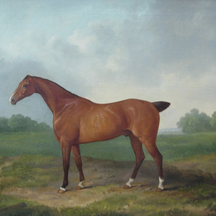 James Barenger - Race Horse (I of II)