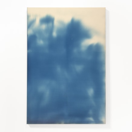 William Hadwen - I'm going home V, 2024
