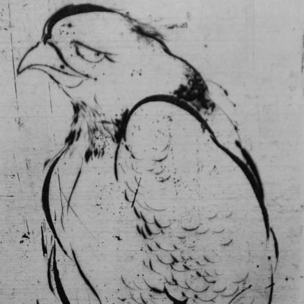 Marjan Seyedin, "Oiseaux" #4, 2011