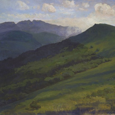 Charles-Élie Delprat, Le Roc des ombres , 2020-2021