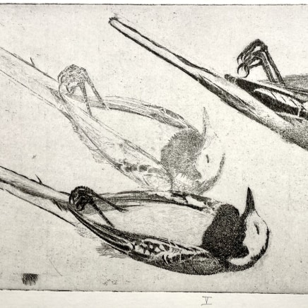 Charles Donker, Drie studies van een kwikstaart (Kwikstaart V) - Trois études d'une bergeronnette grise (Bergeronnette V), 2009