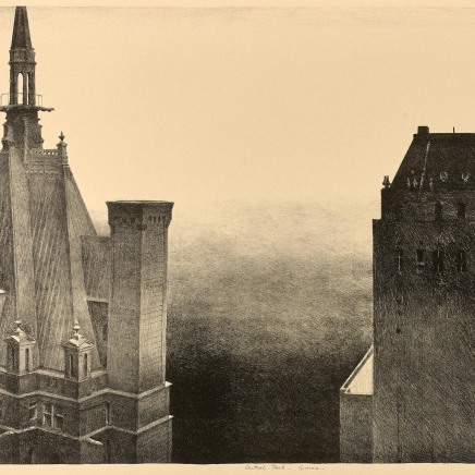 Jean-Baptiste Sécheret, Central Park, Brume, 2008