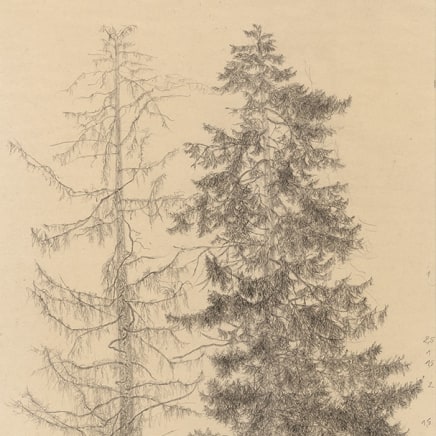 Gudrun von Maltzan, Deux Sapins, 2020