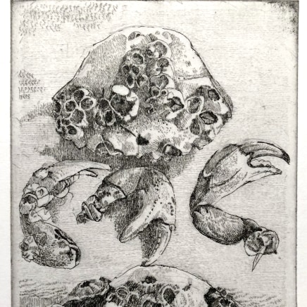 Charles Donker, Pinces de crabes, 2020