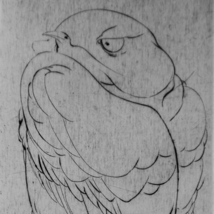 Marjan Seyedin, "Oiseaux" #14, 2011