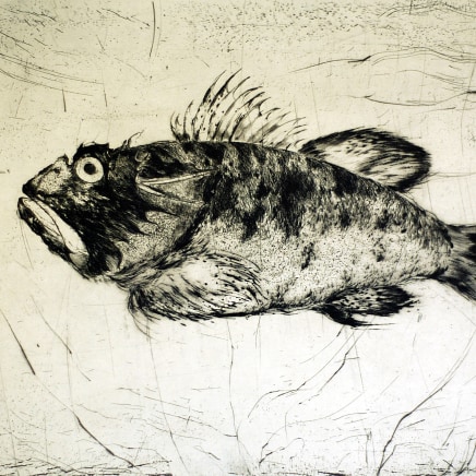 Marjan Seyedin, "Poissons" #3, 2016
