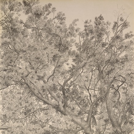 Gudrun von Maltzan, Berger hêtre, 2019