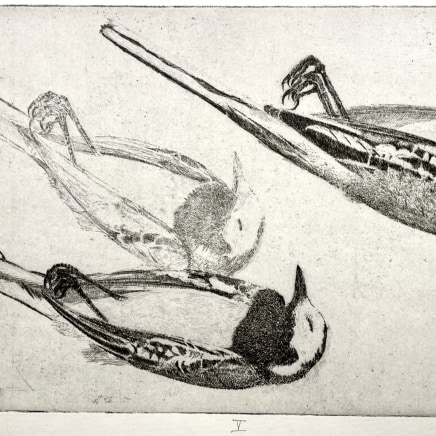 Charles Donker, Drie studies van een kwikstaart (Kwikstaart V) - Trois études d'une bergeronnette grise (Bergeronnette V), 2009