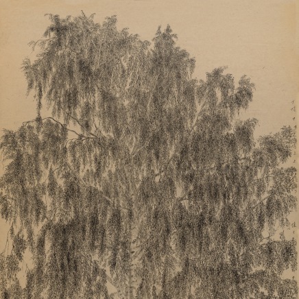 Gudrun von Maltzan, Bouleau, 2016