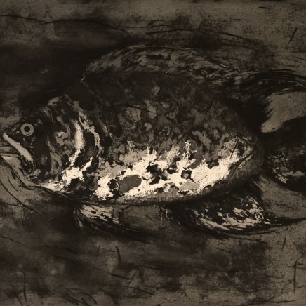 Marjan Seyedin, "Poissons" #5, 2018