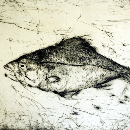 Marjan Seyedin, "Poissons" #2, 2016