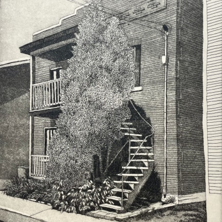 Ariane Fruit, Rue Sainte-Geneviève, Trois-Rivières, 2024