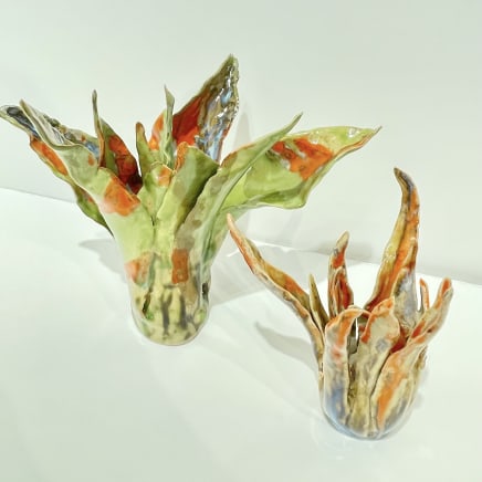 Helena Arellano Mayz, Aloe Vera, 2024
