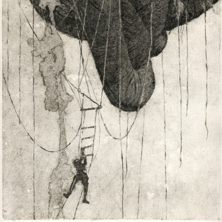 Édith Dufaux, Observation, 2021