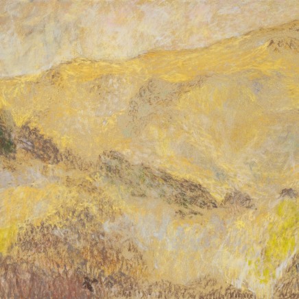 Martin Basdevant, Combe Arnaude - L'oiseau, 2023