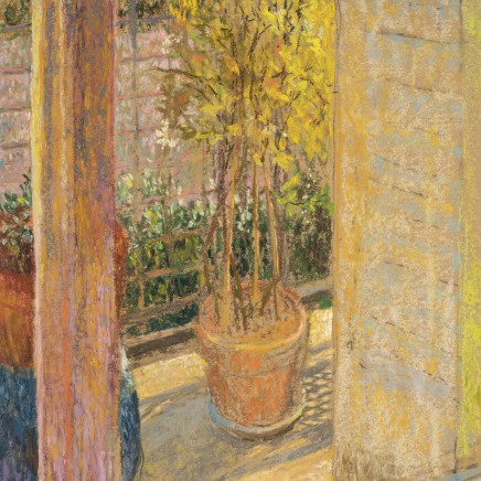 Martin Basdevant, Jasmin fleuri, 2021