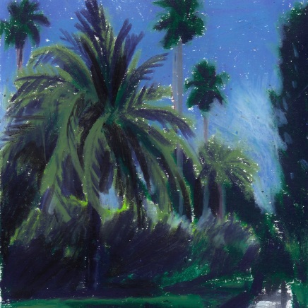 Lucile Piketty, Nuit américaine - I, 2019