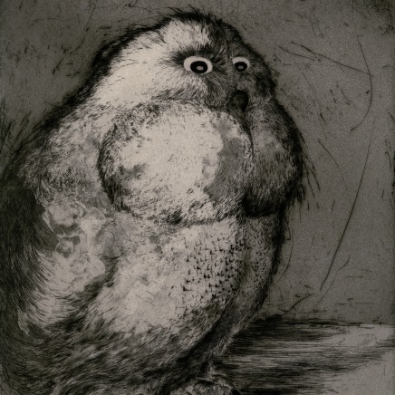 Marjan Seyedin, "Hiboux et chouettes" #6, 2016