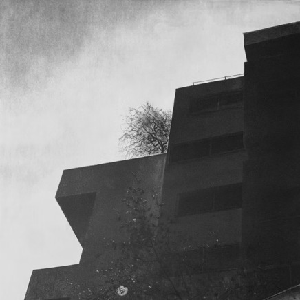 Lucio Mosner, La Première fleur, 2025