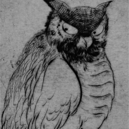 Marjan Seyedin, "Oiseaux" #2, 2011