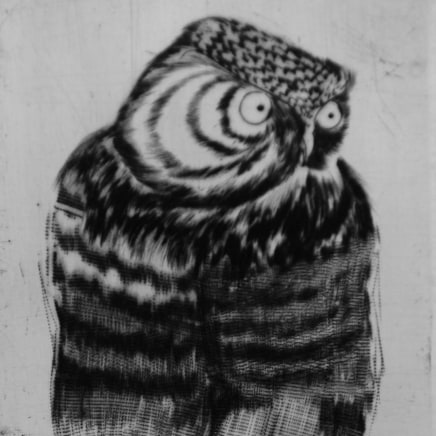 Marjan Seyedin, "Oiseaux" #03, 2011