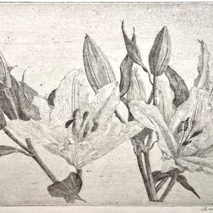 Charles Donker, Lelies (Fleur de lys), 2022