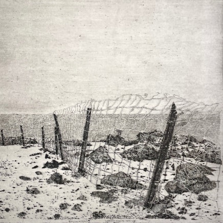 Charles Donker - Karmozijnbes (Baie cramoisie), 2023-2025