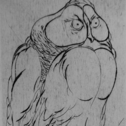 Marjan Seyedin, "Oiseaux" #9, 2011