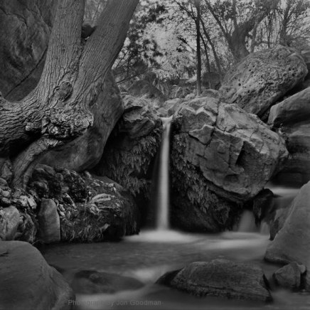 Jon Goodman, Cottonwood & Waterfall, Grand Canyon, 2016