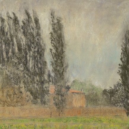Martin Basdevant, Ferrare - L'allée de peupliers, 2023