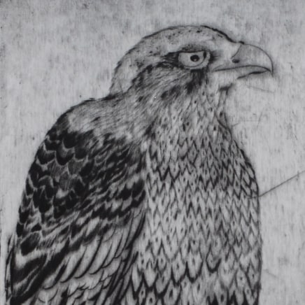 Marjan Seyedin, "Oiseaux" #5, 2011