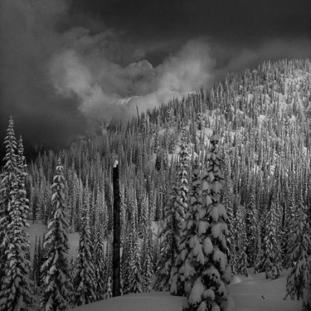Jon Goodman, Forest & Clouds, Winterland, Nakusp, 2017