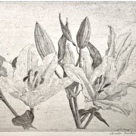 Charles Donker, Lelies (Fleur de lys), 2022