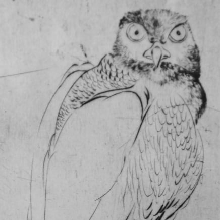 Marjan Seyedin, "Oiseaux" #1, 2011