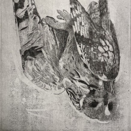 Charles Donker, Velduil II (Hibou des marais), 2023