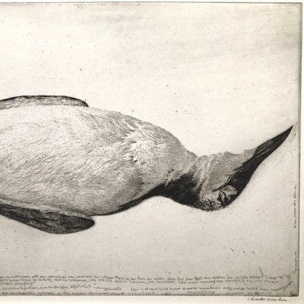Charles Donker, Dode zeekoet (Guillemot de Troïl mort), 1981