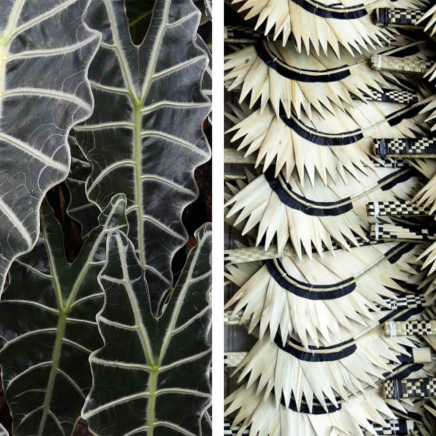 Peter Peryer - Angels and Fans (Diptych), 2012