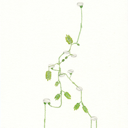 Zina Swanson - Panadol Plant, 2013