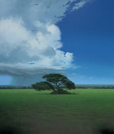 Maikel Martinez, Ritos y Silencios IV (Series), 2024 - 2025