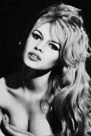 Bardot vs Birkin, 2014
