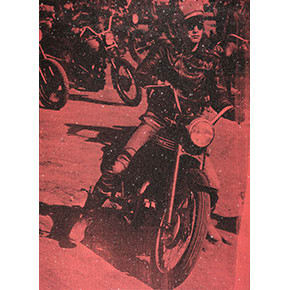 Brando Bike (Priscilla Pink), 2008