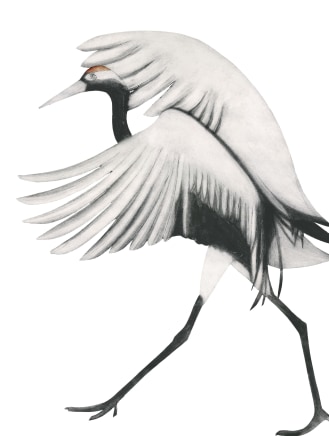 Beatrice Forshall, Red Crowned Crane