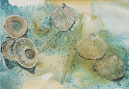 Catherine Forshall, Limpets