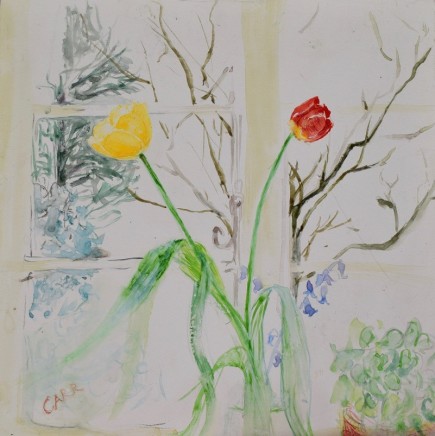 Dorothea Carr, Cottage Window Tulips