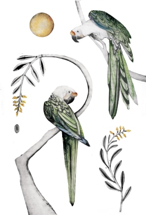 Beatrice Forshall, Great Green Macaws