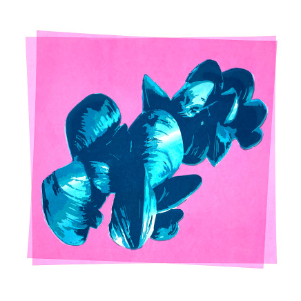 Henri Villiers, Pink Mussels