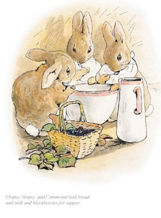 Beatrix Potter, Flopsy, mopsy and Cotton-tail had bread & milk