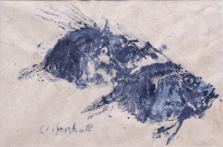 Catherine Forshall, John Dory II