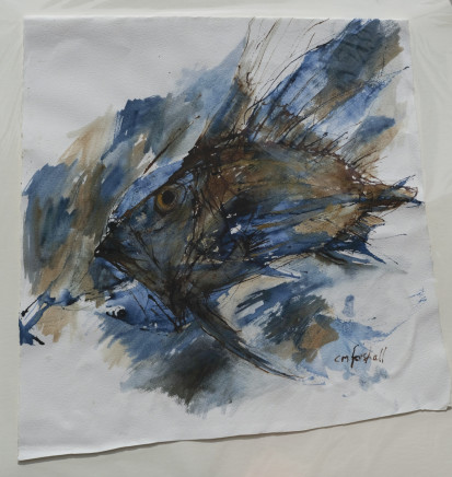 Catherine Forshall, John Dory